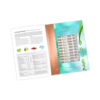 ScKin Nutrition Vegan Detox Program